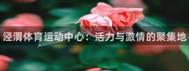 米兰体育官网下载官方客服电话：泾渭体育运动中心：活力
