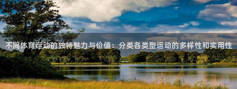 米兰体育官方正版app五金厂：不同体育运动的独特魅力