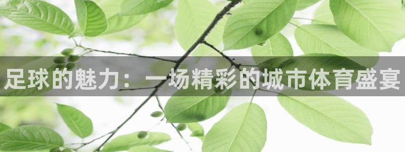 米兰体育官网下载平台注册流程视频：足球的魅力：一场精