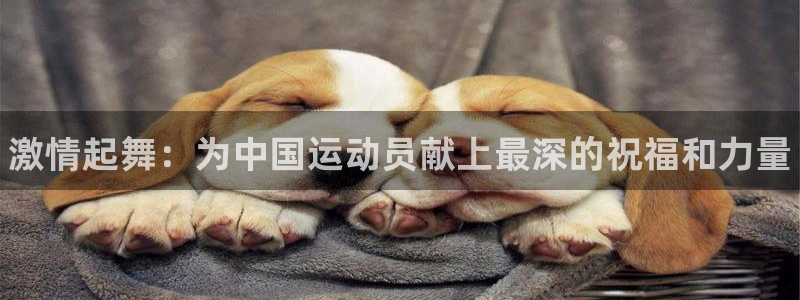 米兰体育官网下载招商电话号码查询是多少：激情起舞：为