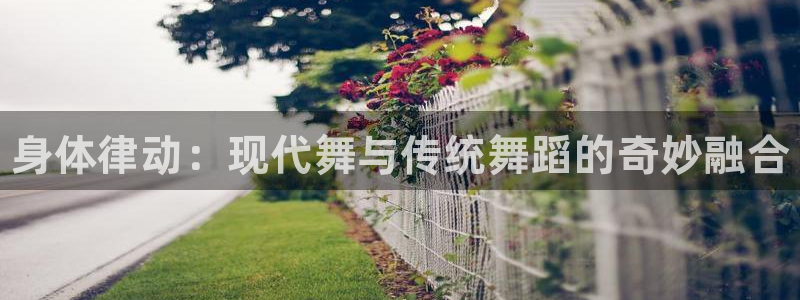 米兰体育官方正版app开户：身体律动：现代舞与传统舞蹈的奇妙