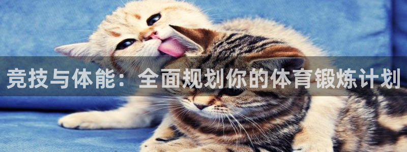 米兰体育官网下载平台假的吗是真的吗吗：竞技与体能：全