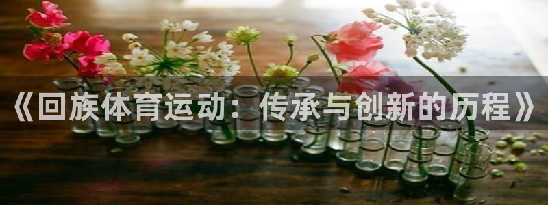 米兰体育官方正版app娱乐首页官网下载：《回族体育运动：传承
