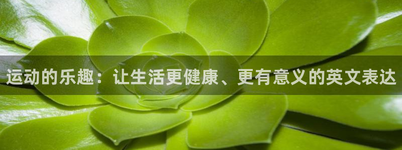 米兰体育官网下载娱乐：运动的乐趣：让生活更健康、更有意义的英
