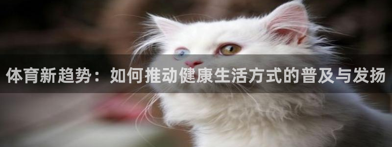 米兰体育官网下载招商电话号码查询是多少