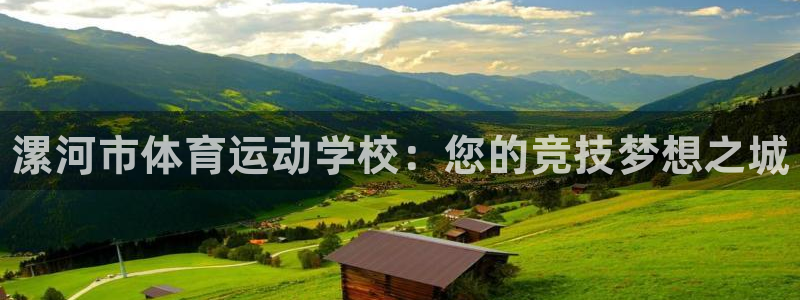 米兰体育官方正版app集团简介