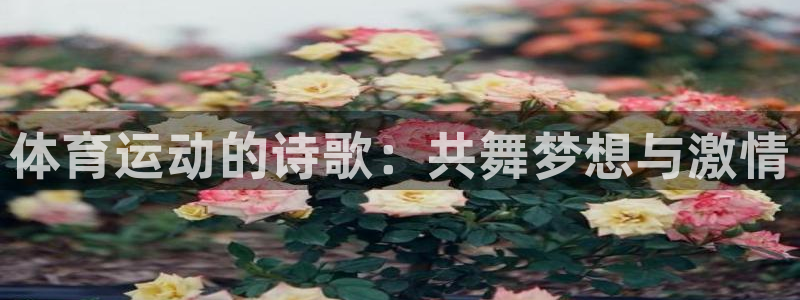 米兰体育官网下载联系电话：体育运动的诗歌：共舞梦想与