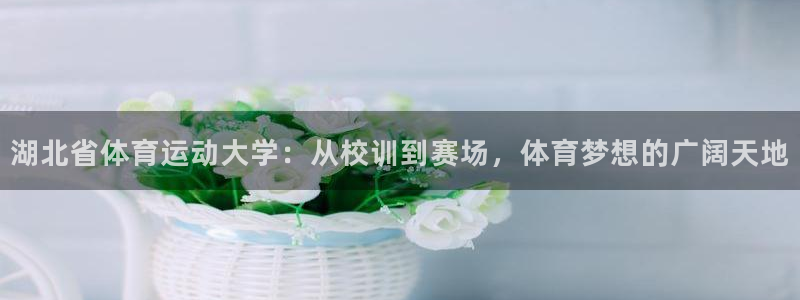 米兰体育官网下载平台注册流程视频：湖北省体育运动大学