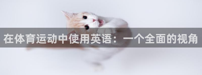 米兰体育官方正版app新能源：在体育运动中使用英语：