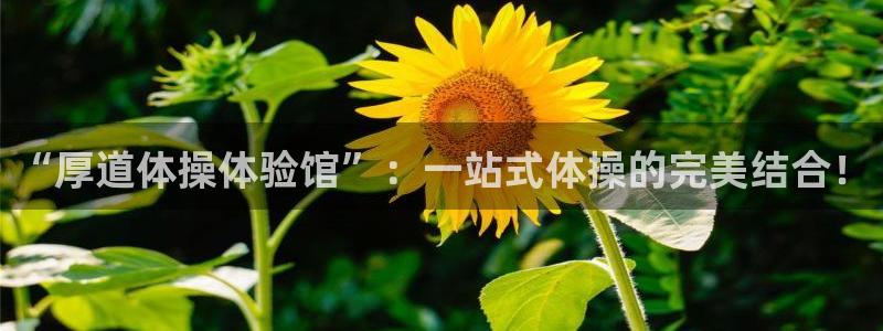 米兰体育官网下载平台APP：“厚道体操体验馆”：一站