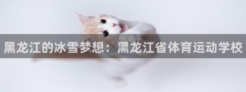 米兰体育官网下载平台：黑龙江的冰雪梦想：黑龙江省体育运动学校
