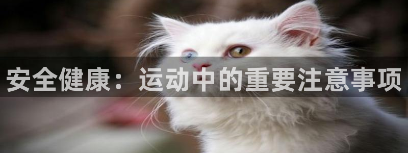 米兰体育官方正版app娱乐平台：安全健康：运动中的重要注意事