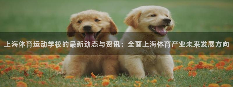 米兰体育官网下载招商电话：上海体育运动学校的最新动态与资讯：