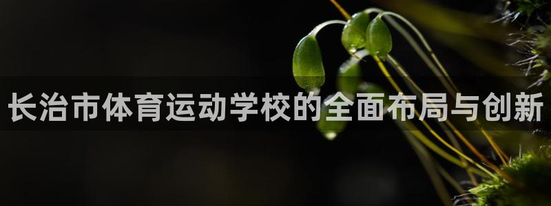 米兰体育官网下载注册：长治市体育运动学校的全面布局与