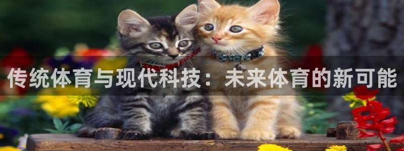 米兰体育官网下载招商电话：传统体育与现代科技：未来体育的新可