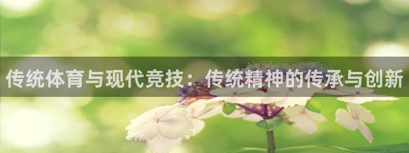 米兰体育官方平台体育：传统体育与现代竞技：传统精神的传承与创